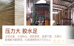 弘獅建筑模板榮獲周轉次數高贊譽！